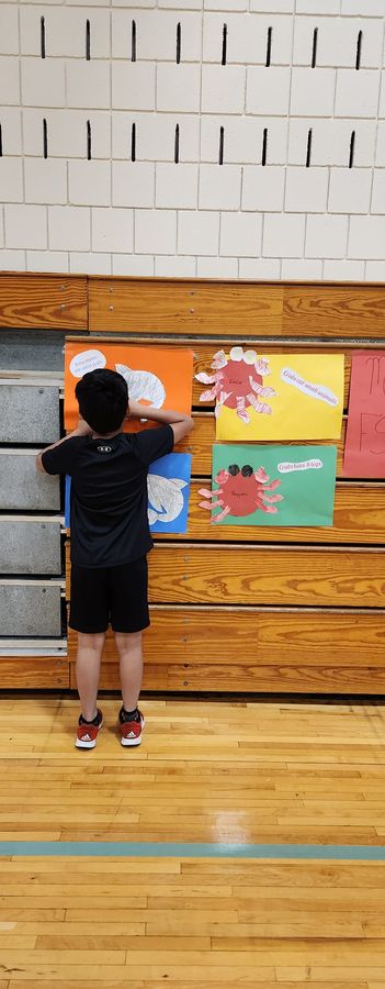 A child looking at pupils' artwork displayed on a school gym wall