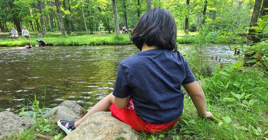 A child sitting on a rock beside a woodland creek